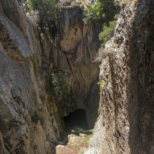 Nature-14