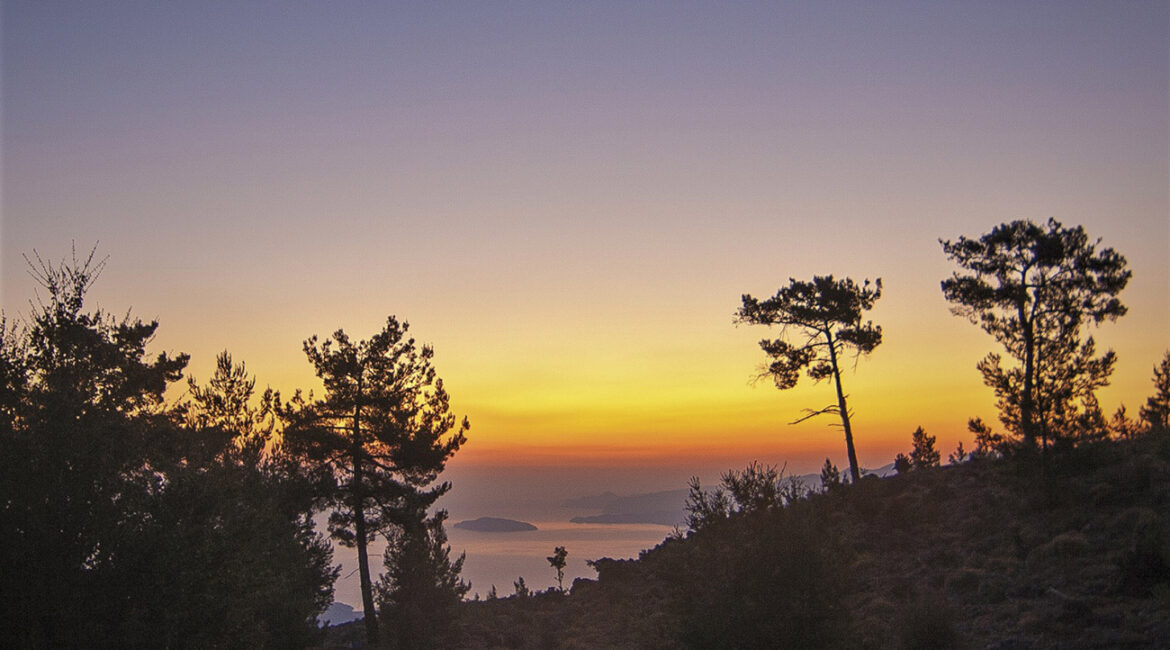 Nature-5